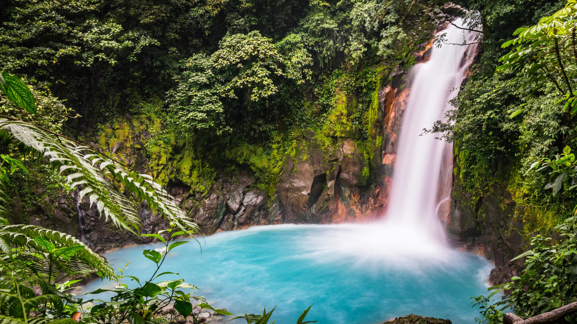 Entdecken Sie den Regenwald auf einer Rundreise in Costa Rica