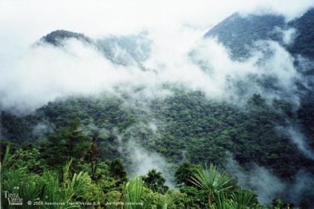 Unternehmen Sie Ausflüge in den Braulio Carrillo Nationalpark in Costa Rica
