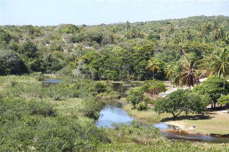 Fluss und Regenwald bei Imbassai