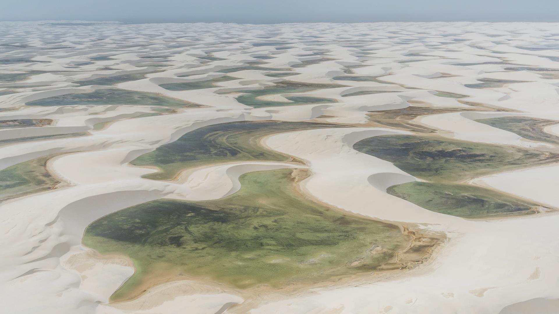 Grüne Oasen der Lencois Maranhenses