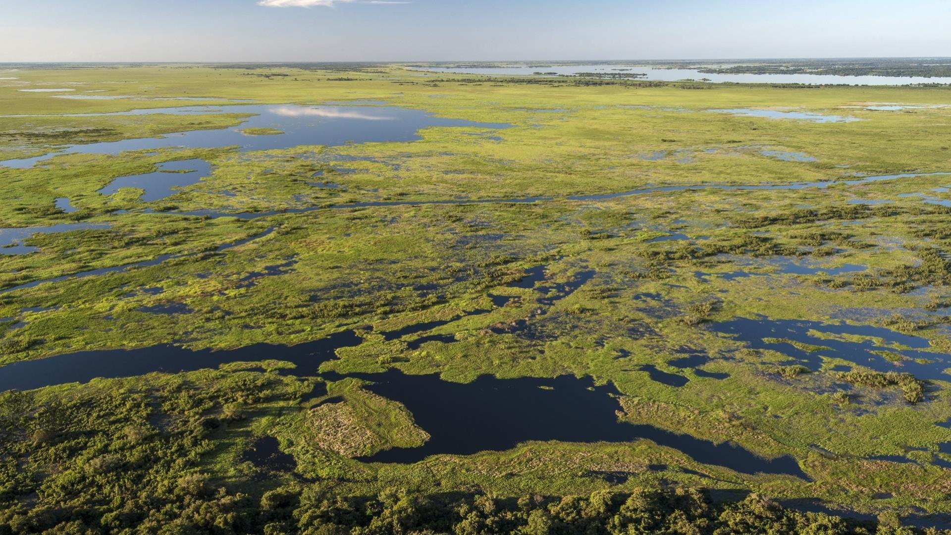 Brasilien Nord Pantanal: 4 Tage Reisebaustein - Pousada Piuval naturnah erleben