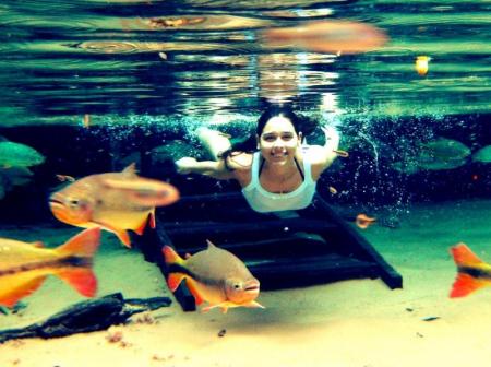 Fische im glaskleren Wasser in Bom Jardim bei Nobres