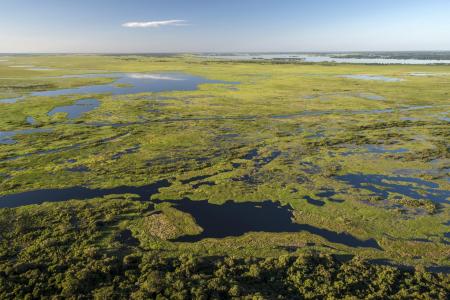 Luftaufnahme vom Nord-Pantanal