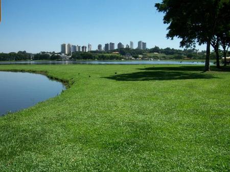 Curitiba Park