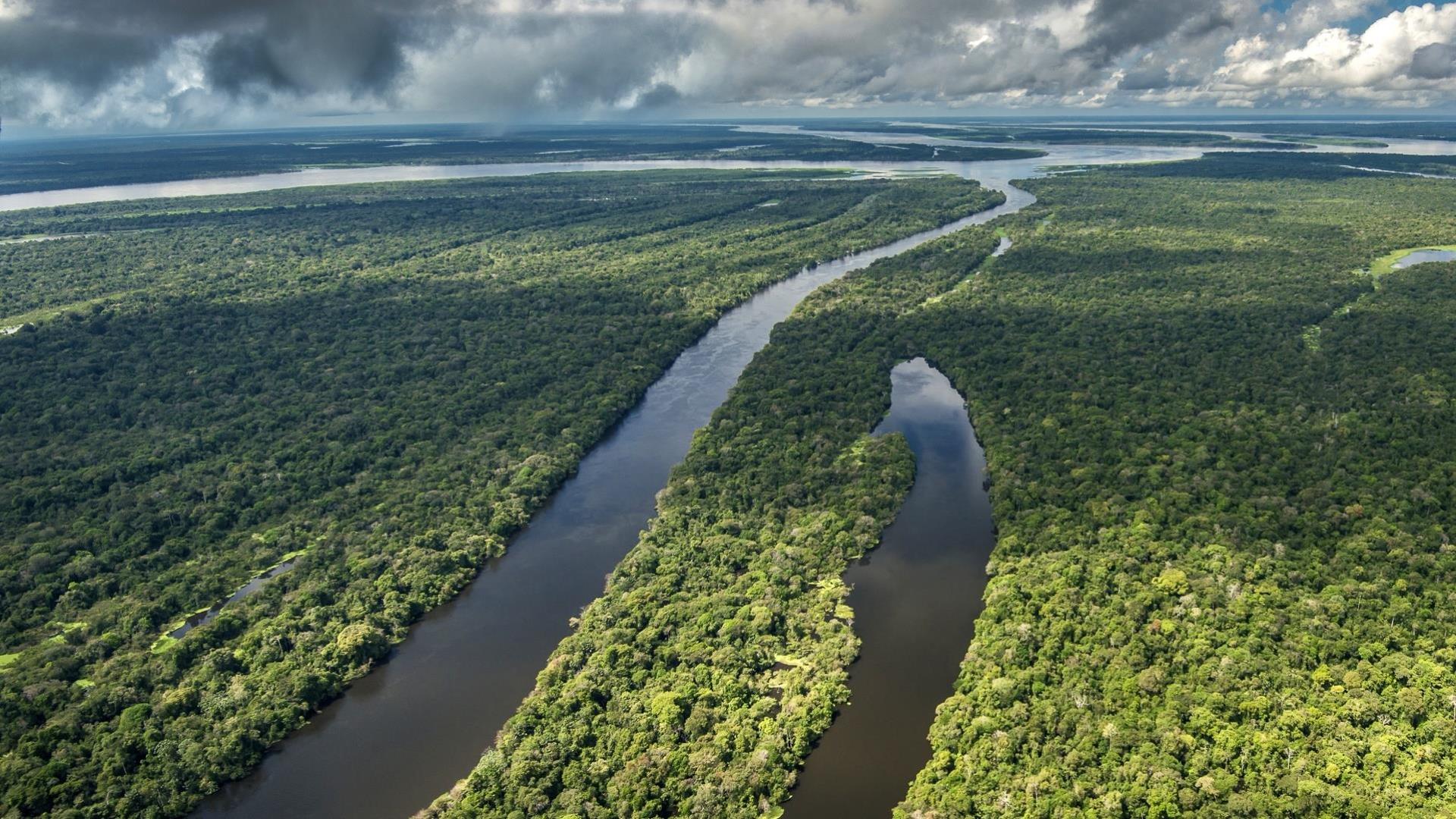 Brasilien Amazonas Tefe: 4 bis 8 Tage Reisebausteine - Uakari Lodge