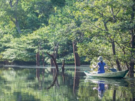 Den Rio Negro per Boot von der Anavilhanas Lodge aus erkunden