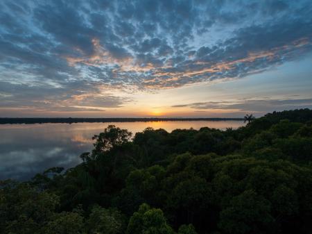 Wunderschöner Sonnenuntergang im Amazonas-Regenwald