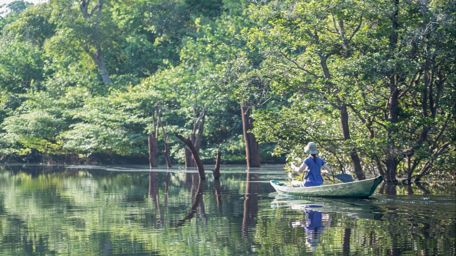 Brasilien Amazonas: 4 Tage Reisebaustein – Anavilhanas Jungle Lodge