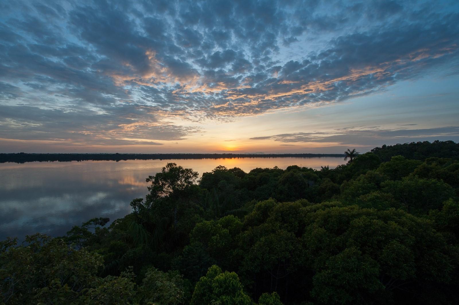 Brasilien Amazonas: 3 bis 6 Tage Reisebausteine - Anavilhanas Jungle Lodge
