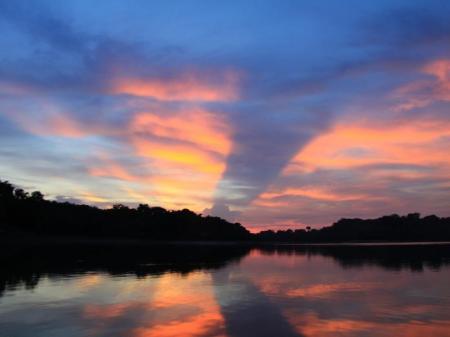 Farbenfroher Sonnenuntergang im Amazonas-Regenwald