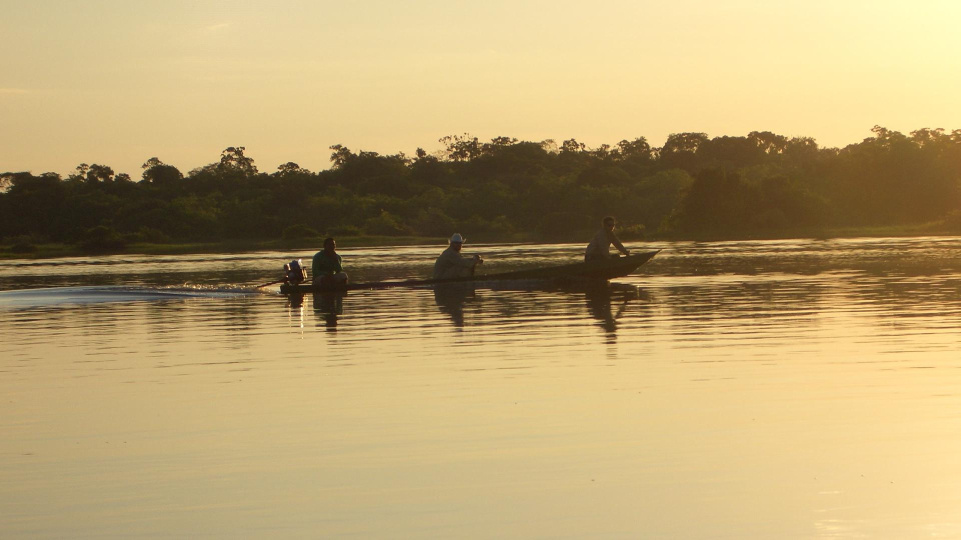 Reisebaustein - Schiffsexpedition Pink Dolphin in Kleingruppe auf dem Amazonas in Brasilien