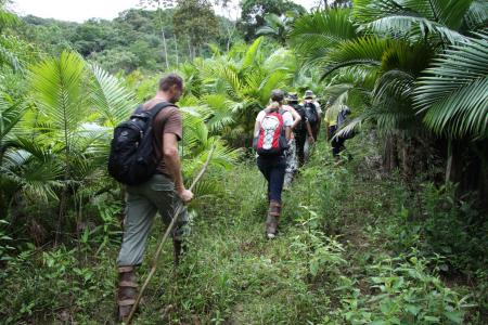 Im Atlantischen Regenwald wandern