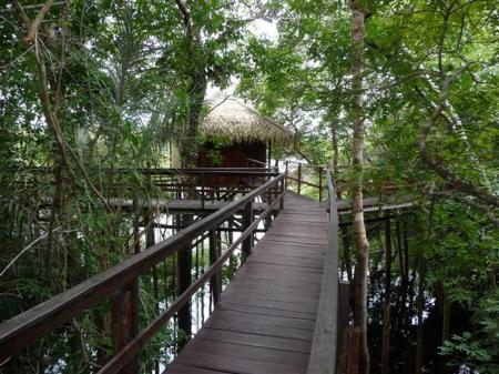 Holzbrücke der Amazon Juma Lodge 