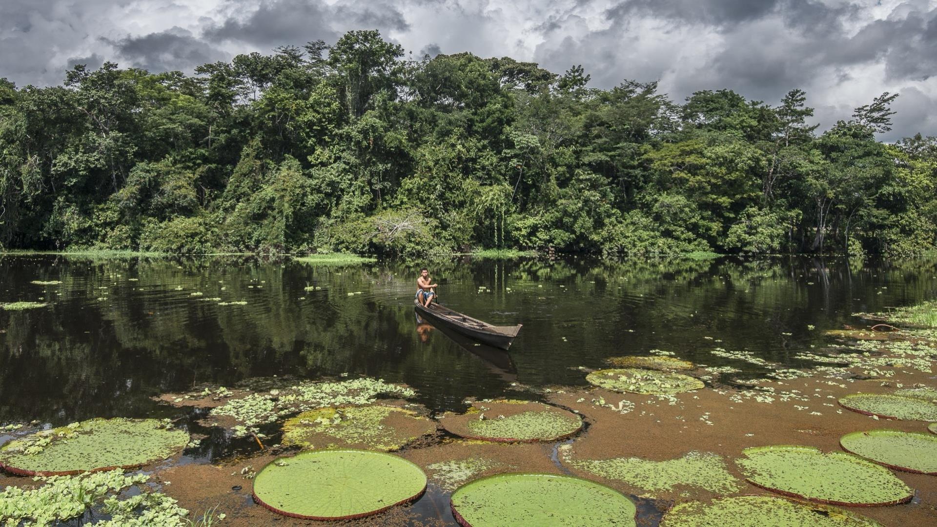 Brasilien Amazonas: 2 Tage Reisebaustein - Juma Amazon Lodge Jacana Paket