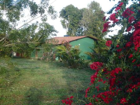 Rote trpische Blumen und ein grünes Bungalow der Pousada Fazenda Rio Negro