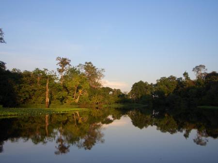 Wunderschöne Landschaft im Amazonasgebiet naher der Amazon Tupana Lodge