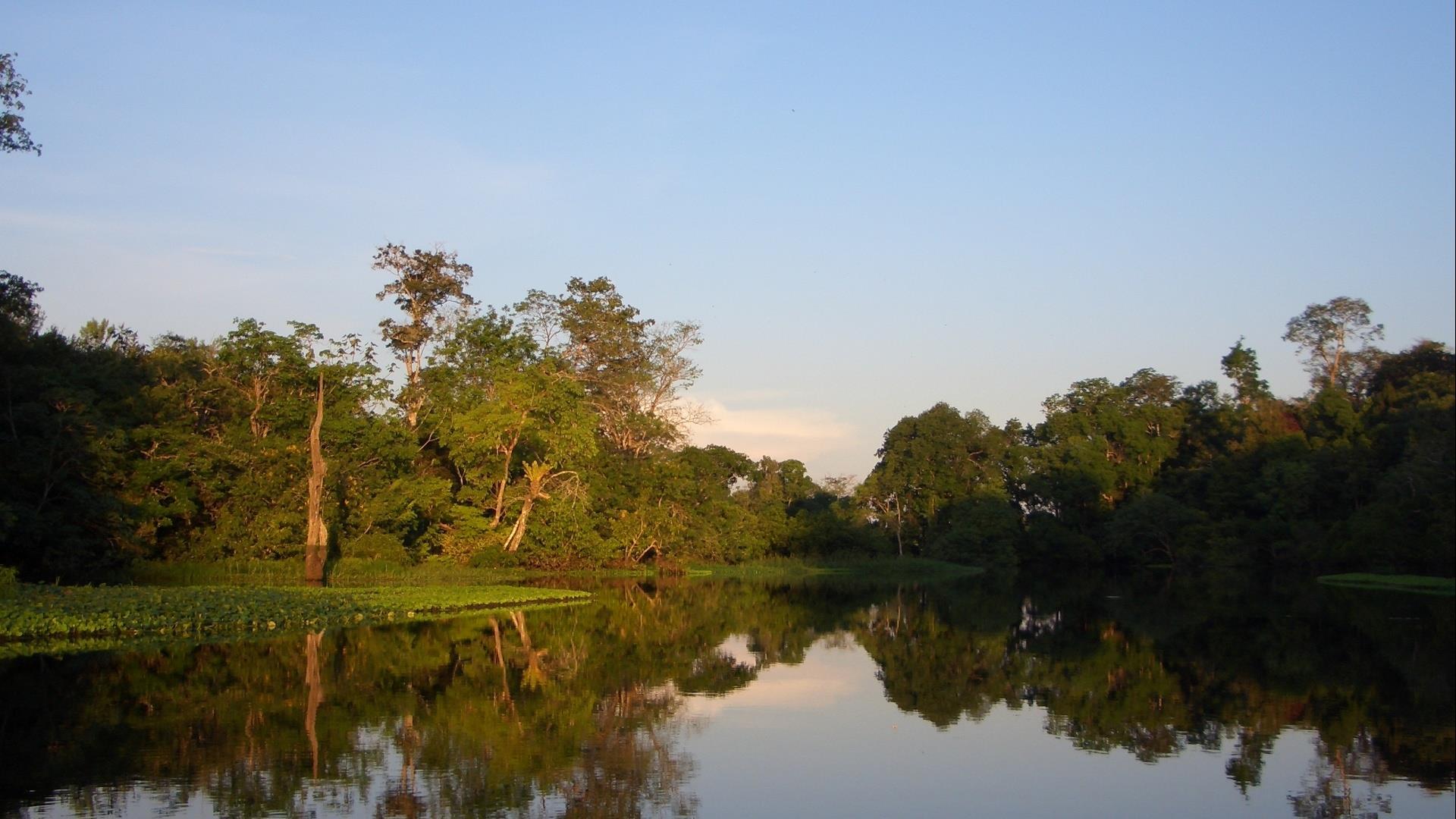 Brasilien Amazonas: 3 Tage Reisebaustein - Tupana Lodge im Amazonas-Regenwald