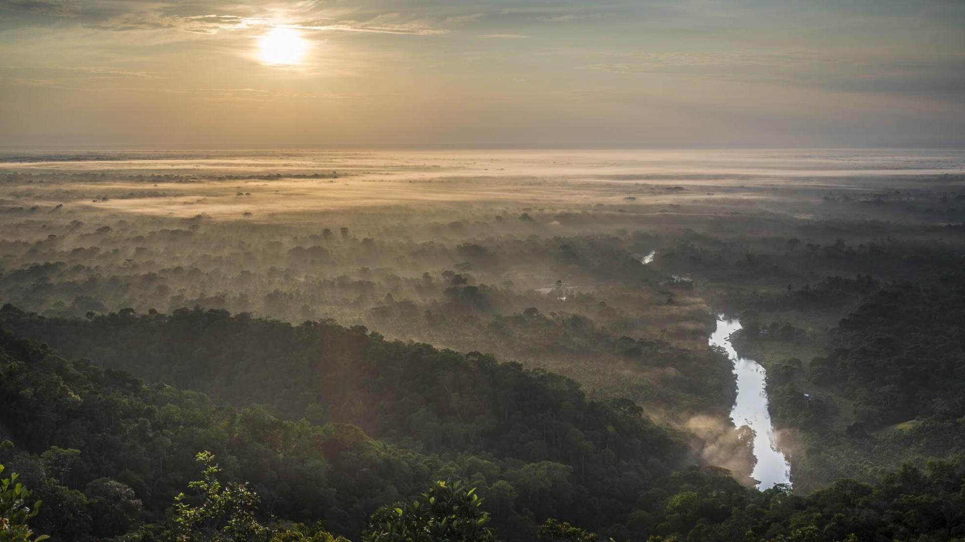 Brasilien Amazonas: 6 Tage Reisebaustein - Turtle Lodge Mamori Survival-Tour Sonnenaufgang über dem Amazonas