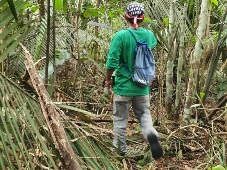 Spannende Ausflüge in den Amazonas-Regenwald