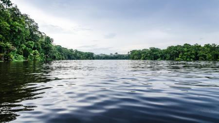 Entdecken Sie den Nationalpark Tortuguero auf einer Reise in Costa Rica