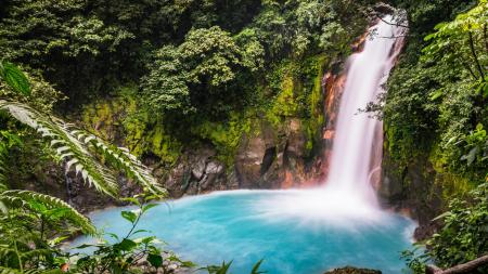 In Costa Rica unternehmen Sie Ausflüge in die schöne Natur des Landes