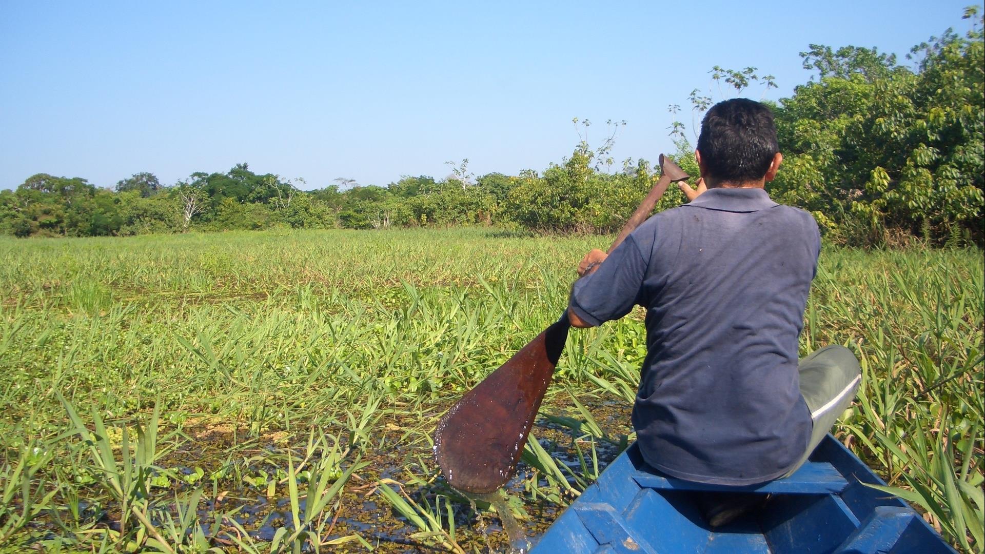 Brasilien Amazonas: 4 Tage Reisebaustein - Turtle Lodge Kayak Expedition: Guide im Kajak