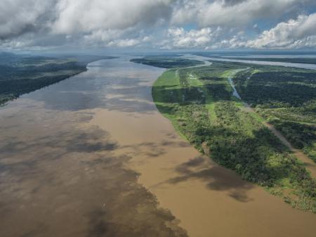 Wunderschöner Amazonas