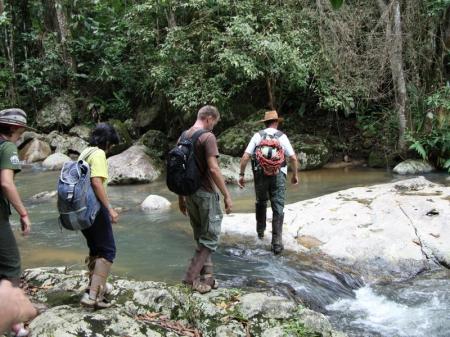 Ein Gruppe überquert einen Fluss im Atlantischen Regenwald von Santa Catarina