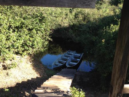 Auf Ausflügen per Boot das Süd-Pantanal entdecken