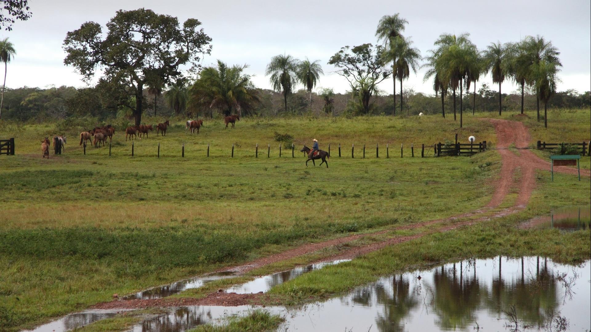 Brasilien Süd Pantanal: 5 Tage Reisebaustein - Pousada Xaraés naturnah erleben