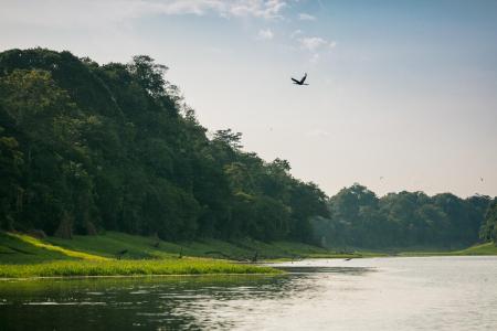 Uakari Lodge Landschaft mit Fluss