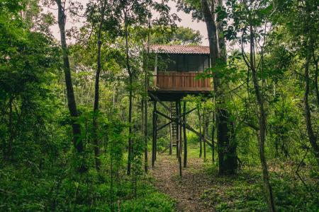 Uakari Lodge Baumhaus