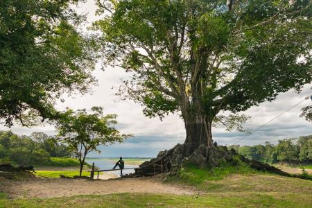 Uakari Lodge Blick auf das Wasser und Baum