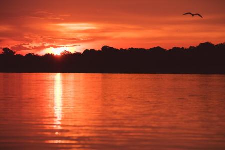 Sonnenuntergang in der Nähe der Uakari Lodge