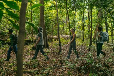 Uakari Lodge vier Wanderer im Regenwald