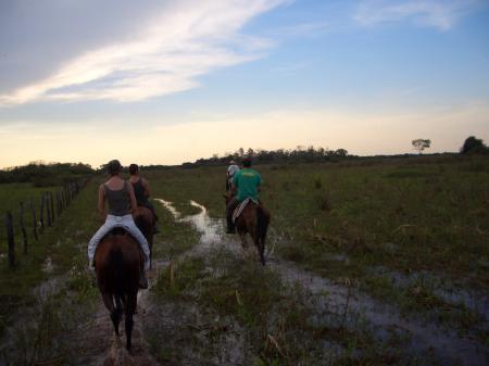 Auf dem Rücken der Pferde das Nord-Pantanal entdecken