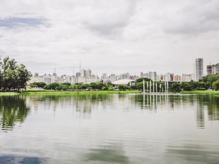 Natur am See des Parque Ibirapuera in Sao Paulo