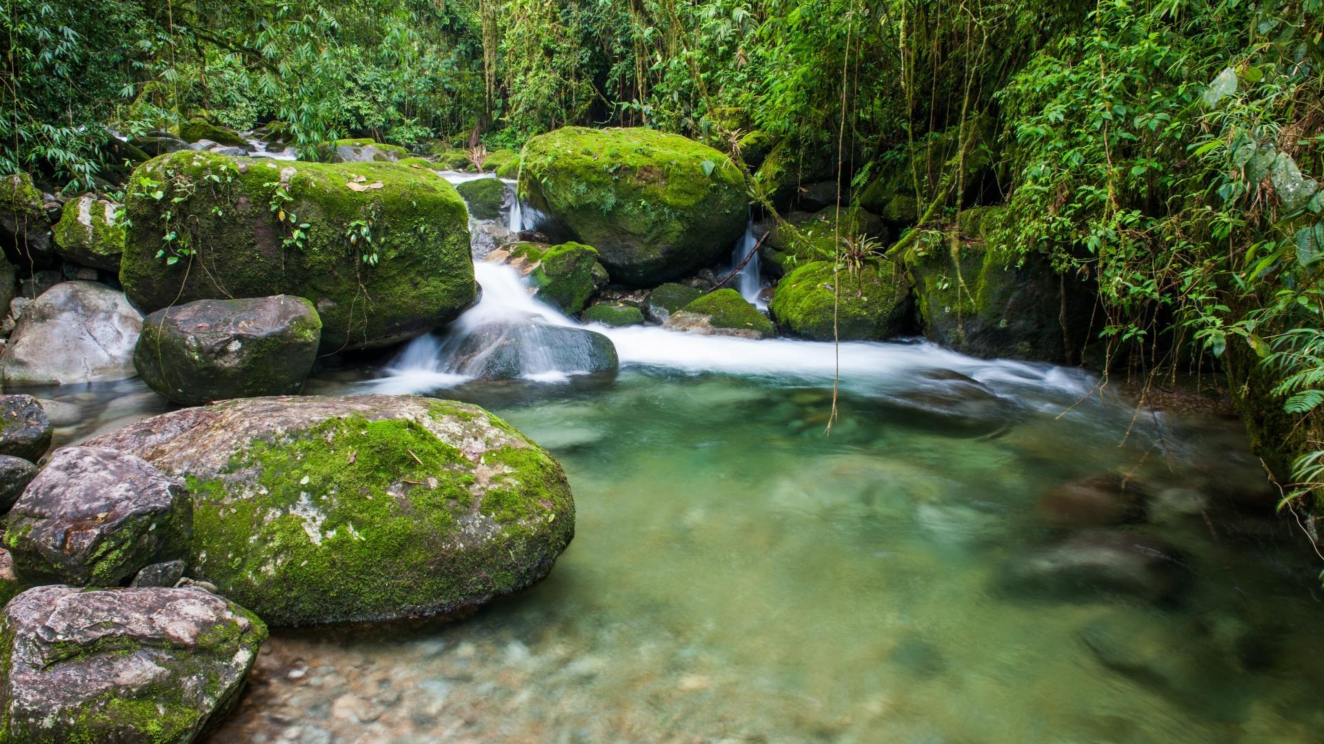 Kleiner Wasserfall im Atlantischen Regewald bei Rio de Janeiro