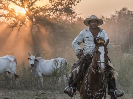 Cowboy beim Ausritt im Süd-Pantanal