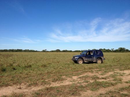 Mietwagen im Süd-Pantanal