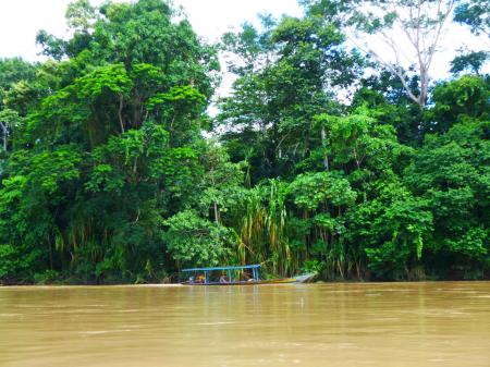 Begeben Sie sich auf eine spannende Tour im Amazonas Regenwald in Peru