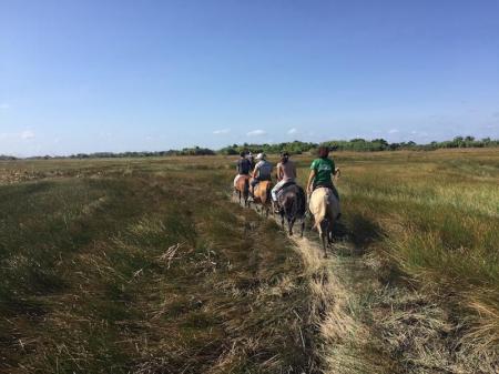 Reitausflug auf der Fazenda Sanjo, Ilha de Marajo - Brasilien