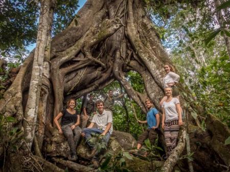 Baumriese im Atlantischen Regenwald erleben