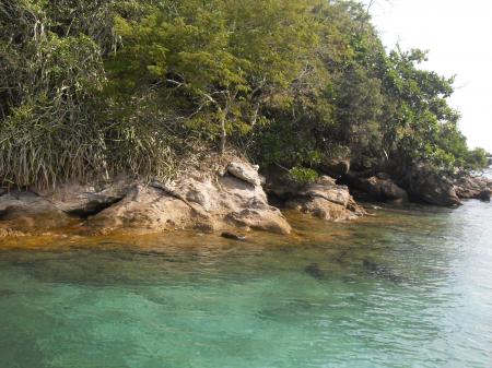 Ilha Grande Lagoa Verde