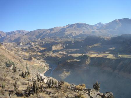 Erleben Sie den Colca Canyon auf Iehrer Peru Reise