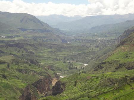 Erleben Sie den Colca Canyon mit seinen typischen Terrassen auf einer Peru Rundreise