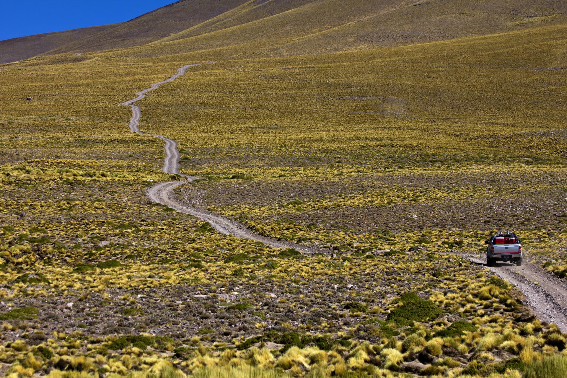 Entdecken Sie die Puna Wüste Argentiniens auf einer Rundreise mit uns