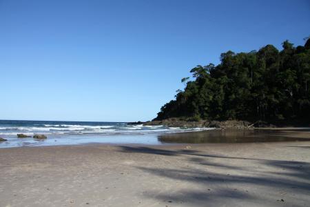 Blick vom Strand bei Itacare auf das Meer und Regenwald am Ufer