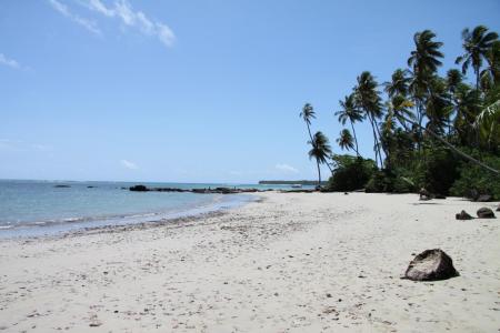 Bahia: Strand mit weißem Sand und Palmen im Hintergrund