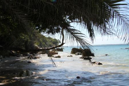 Bahia: Blick vom Strand unter schattigen Palmen auf felsiges Ufer